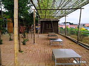 莱芜公园吃瓜的视频,欢乐时光，瓜香四溢